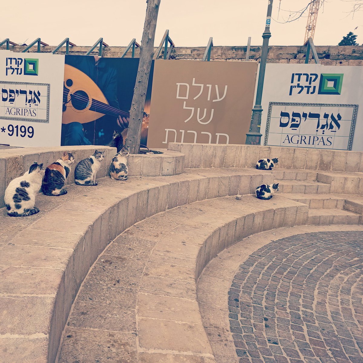 הנה זה מתחיל