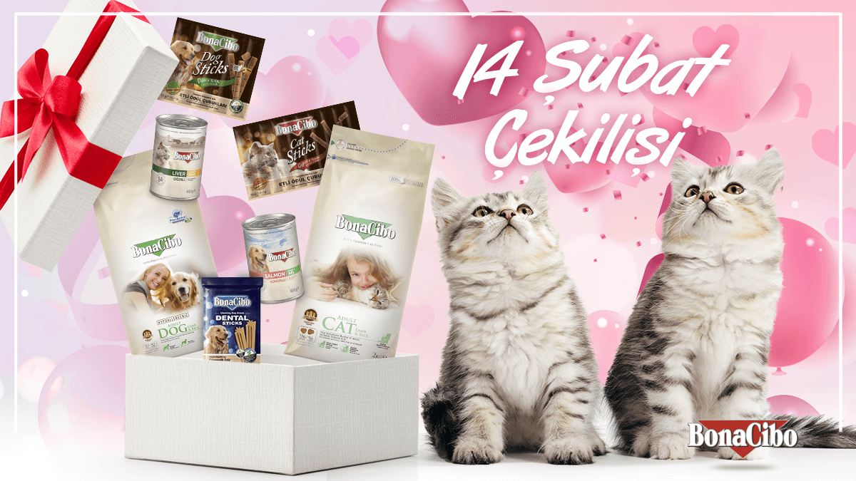 Bonacibo Cat & Dog Food tweet media