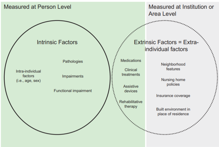 NatashaErinLane's tweet photo. Do you do study #disability and functional changes in older adults? GOOD NEWS: my new lit review w/@wwodchis in @cjarcv summarizes the conceptual framework & evidence you need to jumpstart your next study! https://t.co/X5VEtC7OPF
#geriatrics #gerontology #aging @MrDisability https://t.co/n6VN27gTQQ