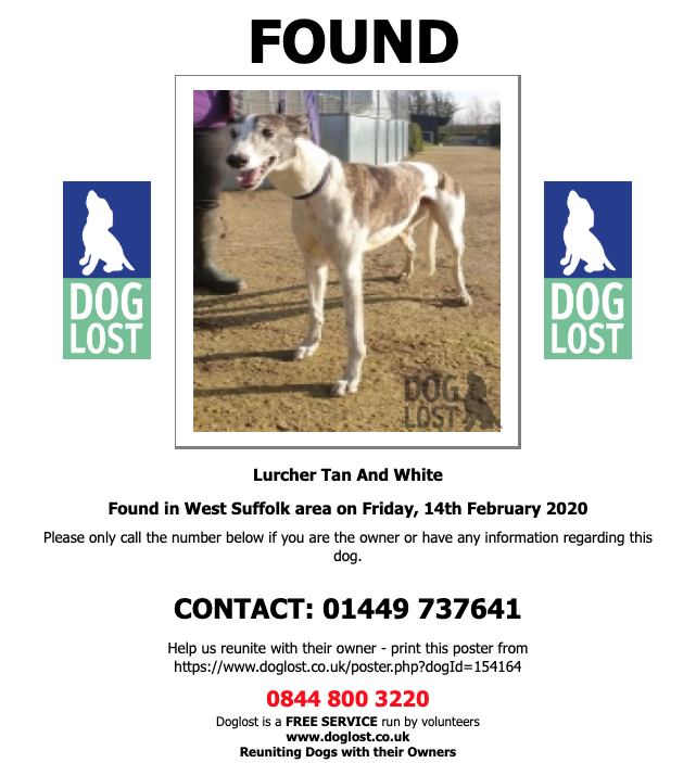 DogLostUK's tweet photo. https://t.co/jt1sXwNKjV  
#FOUND  UNKNOWN  #DOG  
#Lurcher
Found in  West #Suffolk #IP33
Friday, 14th February 2020   #FoundDog    https://t.co/IJOFwtVe1y  @VetsGetScanning @SAMPAuk_ @SarahP2311 https://t.co/6Dhj4Q8qTx