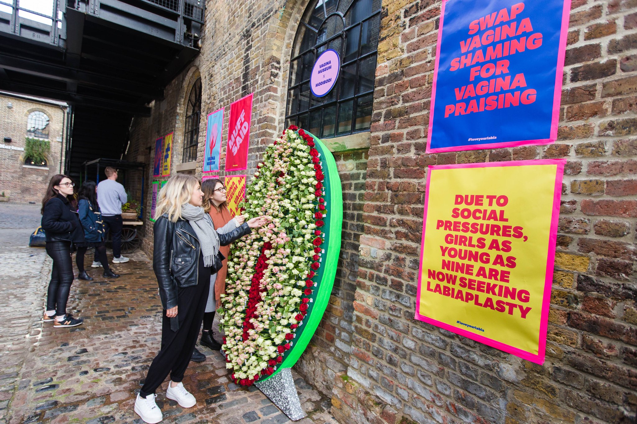 Vagina Museum on Twitter "All vulvas are beautiful. Why is it then that in 201516 more than