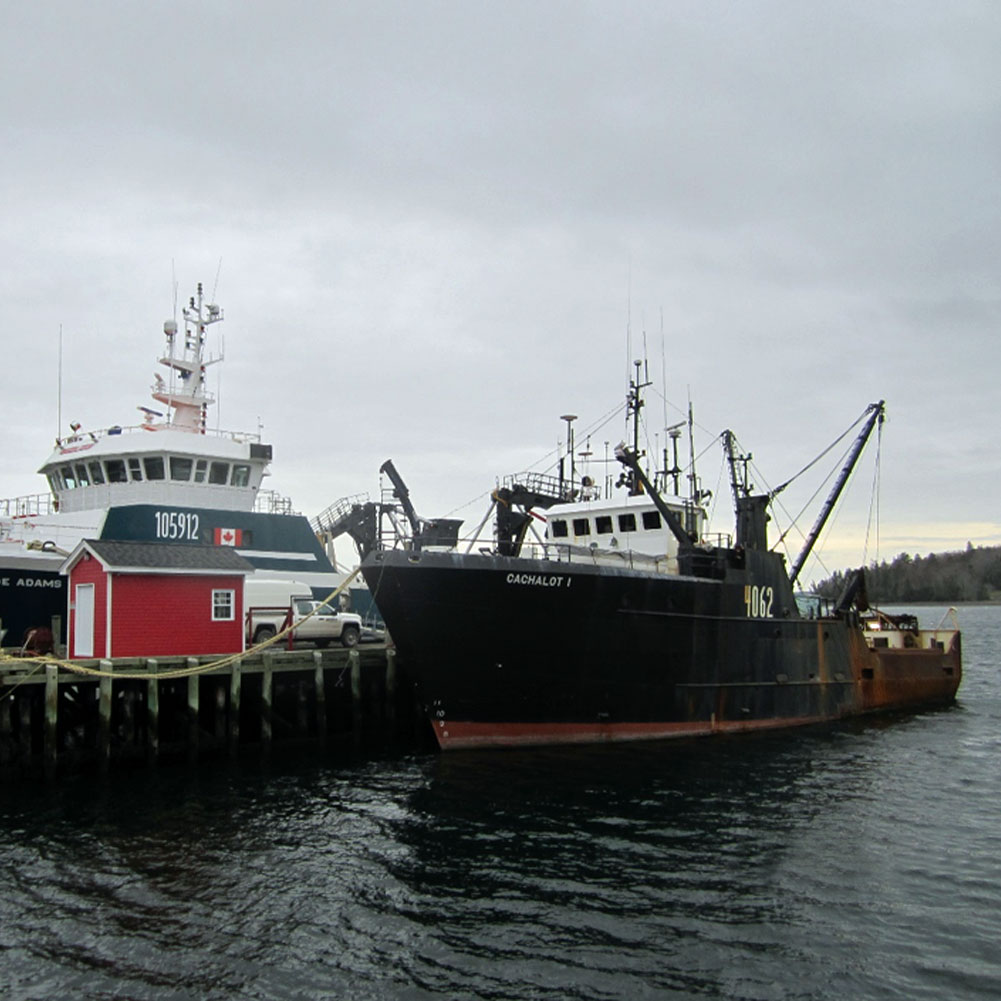 Sea_Gard's tweet image. Did you know, to protect our clients&apos; subsea assets, we produce and distribute information to shipping companies, P &amp;amp; I clubs, vessel owner/operators, fishing captains, government agencies and port authorities.

seagard.org/news/seagard-k…

#riskmanagement #maritime #subseaprotection