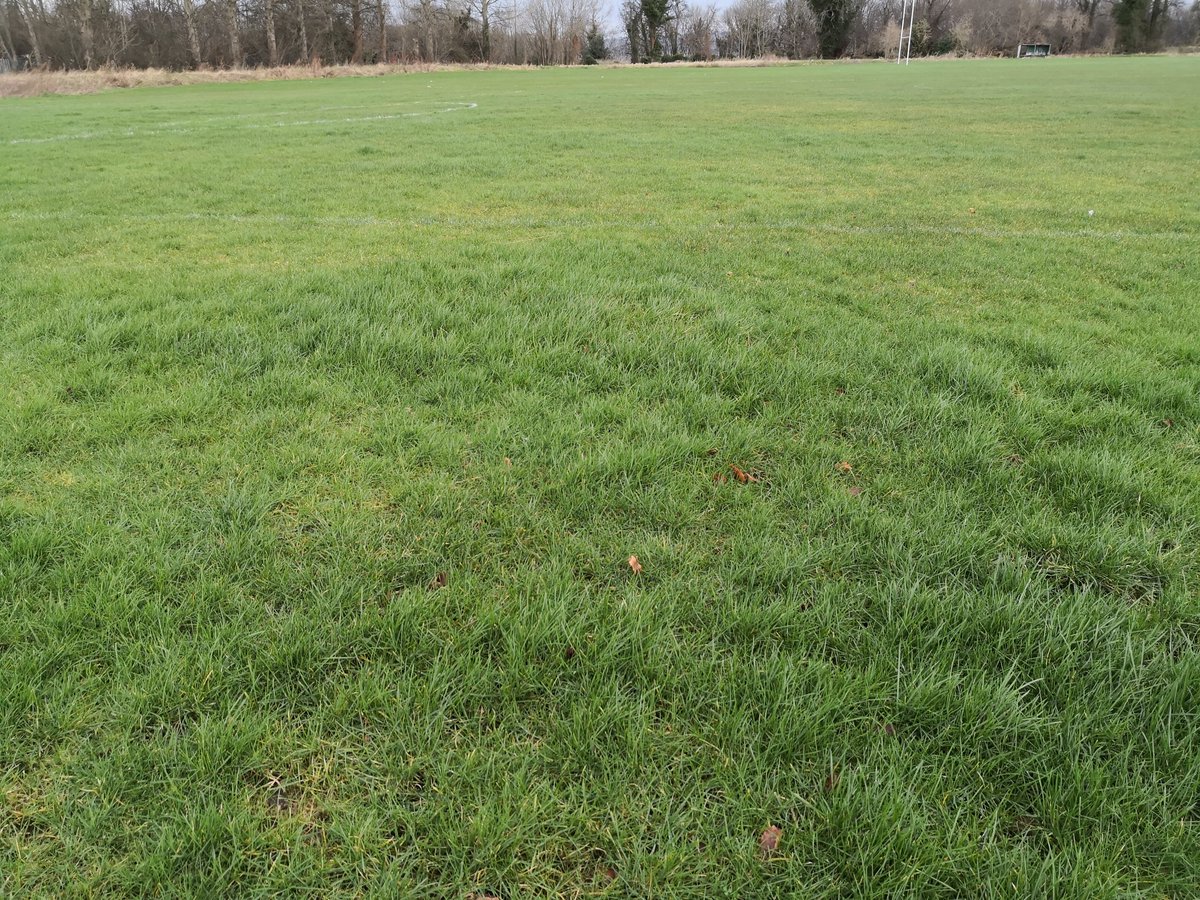⚠️ Pitch Update ⚠️ 

Our 11-a-side pitch has failed an inspection this morning due to the weather over the last few days. 

The 7-a-side pitch will be inspected again tomorrow but is playable as it stands.