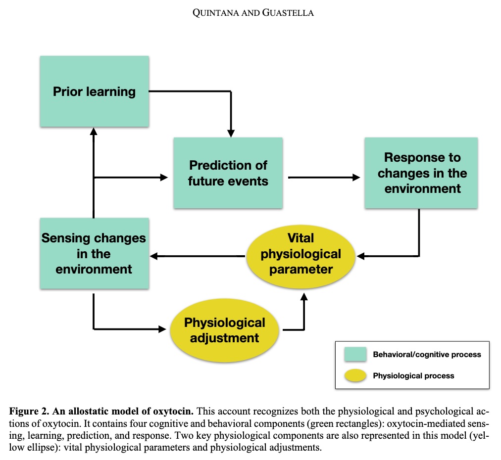 Here's a preprint covering these ideas  https://osf.io/j7tnf/&nbsp; Instead of being a "love" hormone, a "pro-social" hormone, or even a "social" hormone, we think oxytocin is more accurately described as an allostatic hormone that helps maintain stability in changing environments