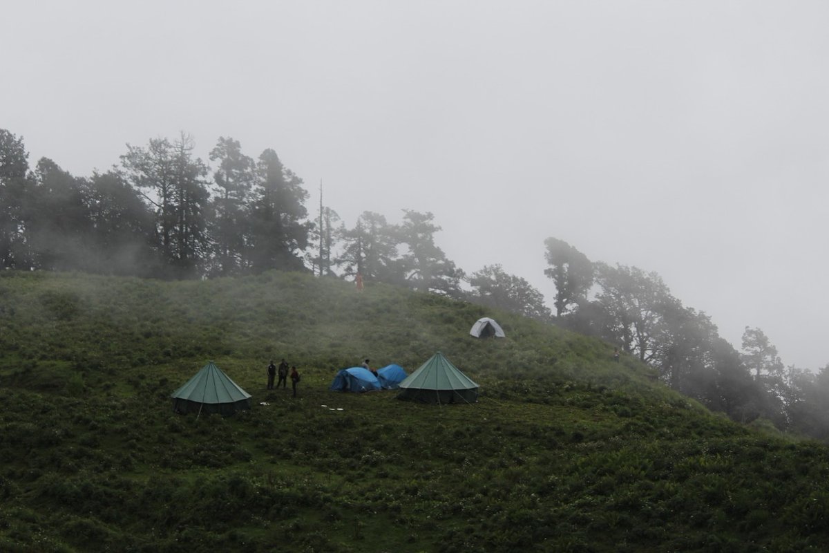 ToRootsIndia's tweet photo. The couple who travel together stays together.
Seize the most romantic and scenic views with your Valentine on this Valentines Day. 
Away from Urbanic hustle, spend your beautiful time with each other amidst nature.
.
.
DM us to make your most beautiful moments memorable. https://t.co/7av5tTCeVC