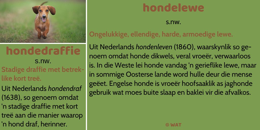 DieWoordeboek's tweet photo. Hierdie week se #woordevandieweek gaan oor #honde en is albei aan #nederlands ontleen. #woordwys https://t.co/AHUaqfjJ0w