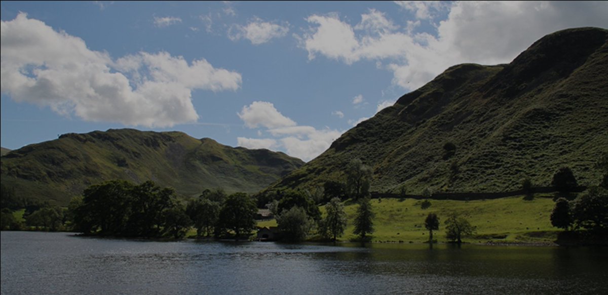 Beth Pipe tweet media