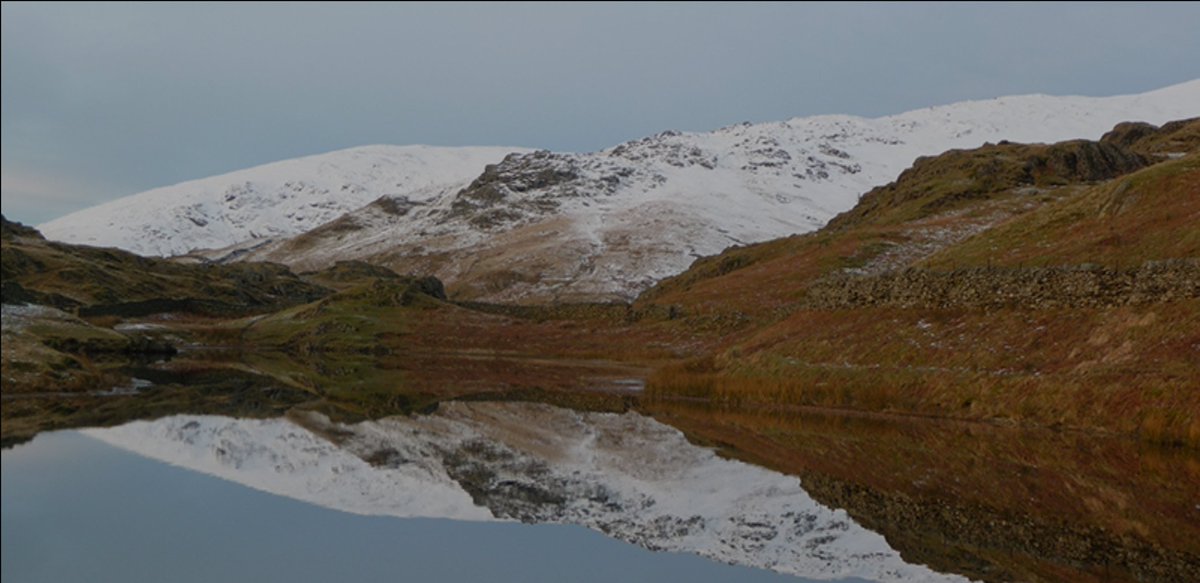 Beth Pipe tweet media