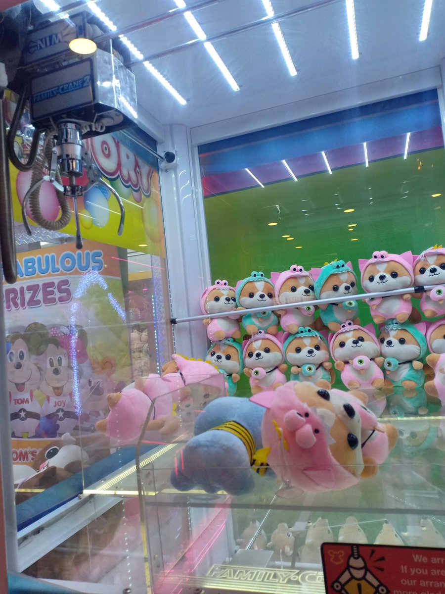 ixzyre's tweet photo. Hirap makakuha sa claw machine, pero mas mahirap pa din makuha si crush.
#BrokenAko
#MasaketCrush
#PansininMoNamanAkoSaSchool
#SadValentinesDay ๐ https://t.co/l1x3KaF4Cr