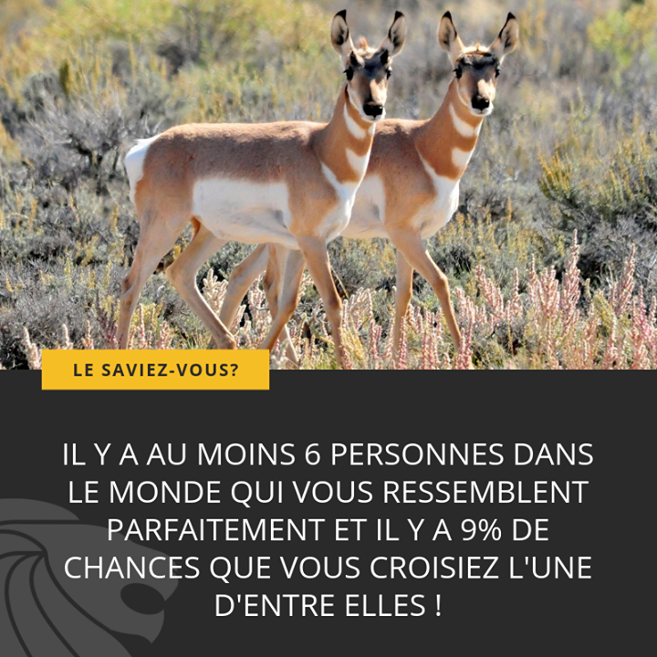 CCLOT_France's tweet photo. Retrouvez toutes les semaines #lesaviezvousbycclot !

#cclot #lesaviezvous #clotures #portails #portillons #serrurerie #barfences https://t.co/6IF5JBohZ8