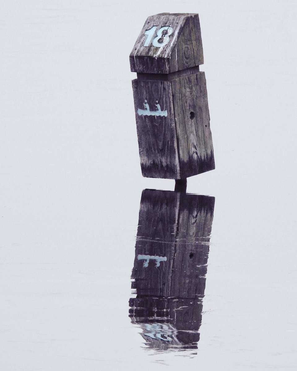kimwilkie33's tweet photo. This image of a water trail marker was created for the @52frames rule of thirds weekly challenge, but I decided not to submit this one. It was taken at Crosswinds Marsh in Sumpter Township, Michigan on a dreary, overcast day.
#52frames_alternate https://t.co/qplMn73dUF