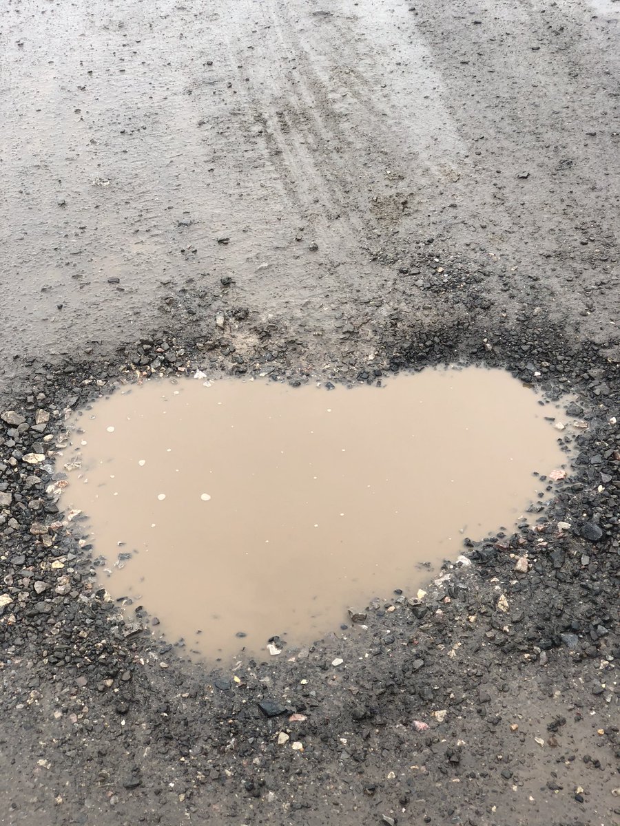 LOVE Devon tweet media