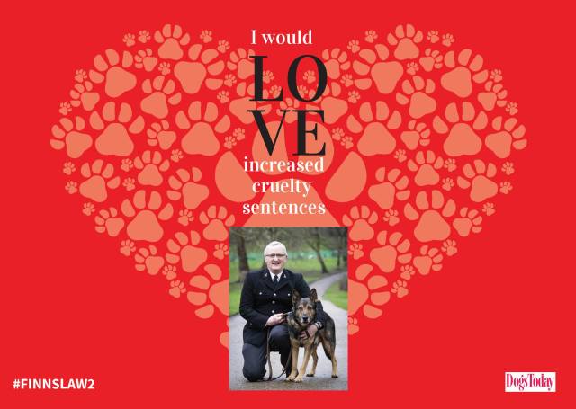 FinnsLawPart2's tweet photo. @ranil @K9Finn

#FinnsLawPart2 💗💗💗 https://t.co/cWF0286Z11