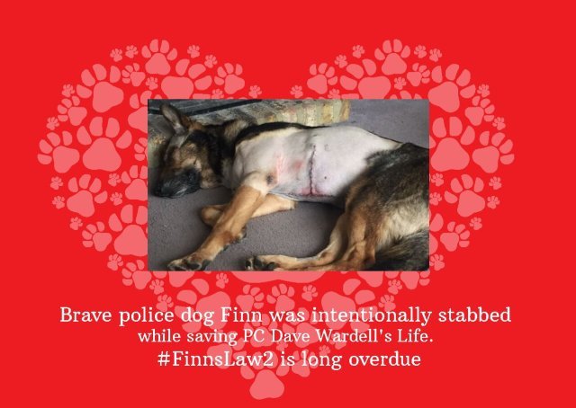 FinnsLawPart2's tweet photo. @ranil @K9Finn

#FinnsLawPart2 💗💗💗 https://t.co/cWF0286Z11