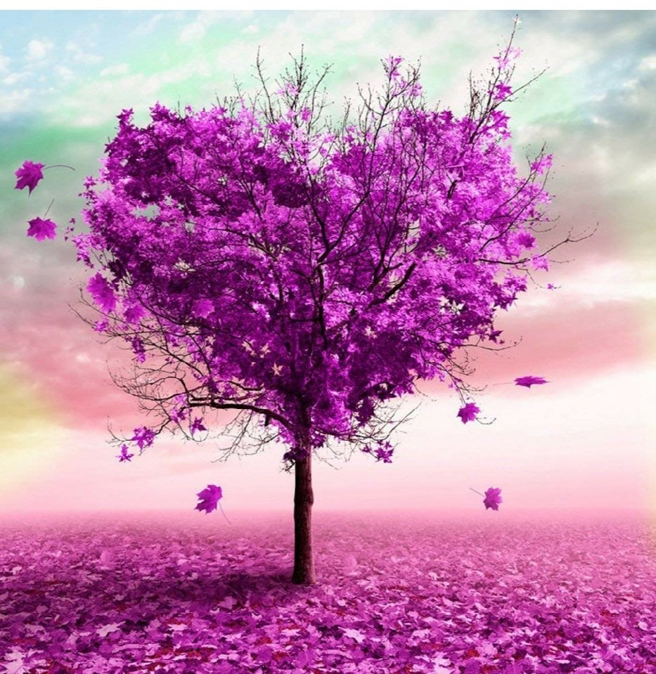 JuanSoñador BoscoSocial en Valladolid tweet media