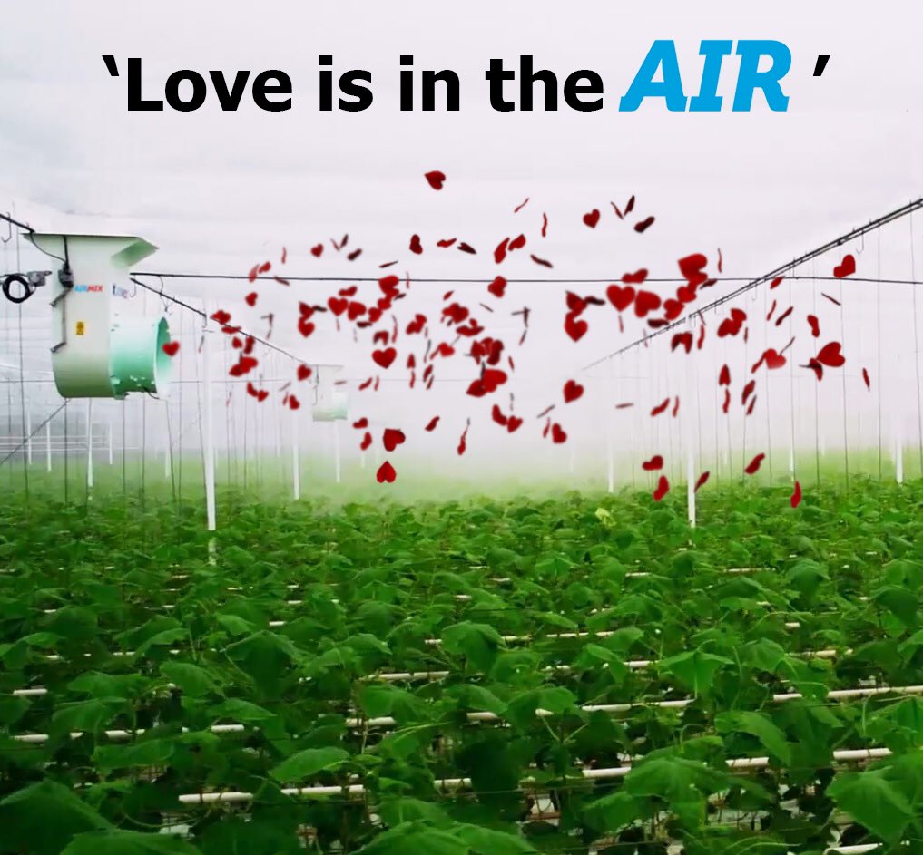 ♥️ Love is in the Air.

 #valentijnsdag #airmix
#ValentinesDay2020
