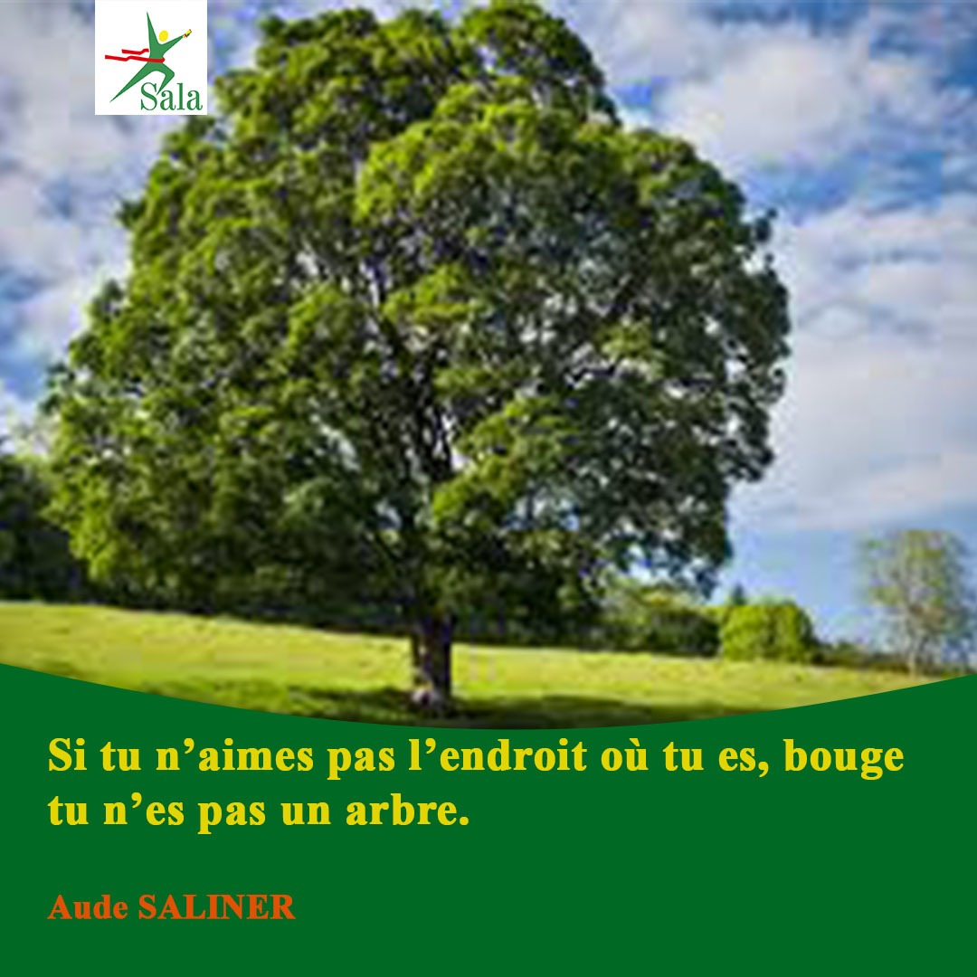 OngSala's tweet photo. Hello les amis ! C'est avec cette belle citation que nous vous souhaitons un excellent week-end #Emploi #MosalaNaTshombo #Congo #Sala 

https://t.co/A8aI4phbcU https://t.co/Nx6VmOaWDG