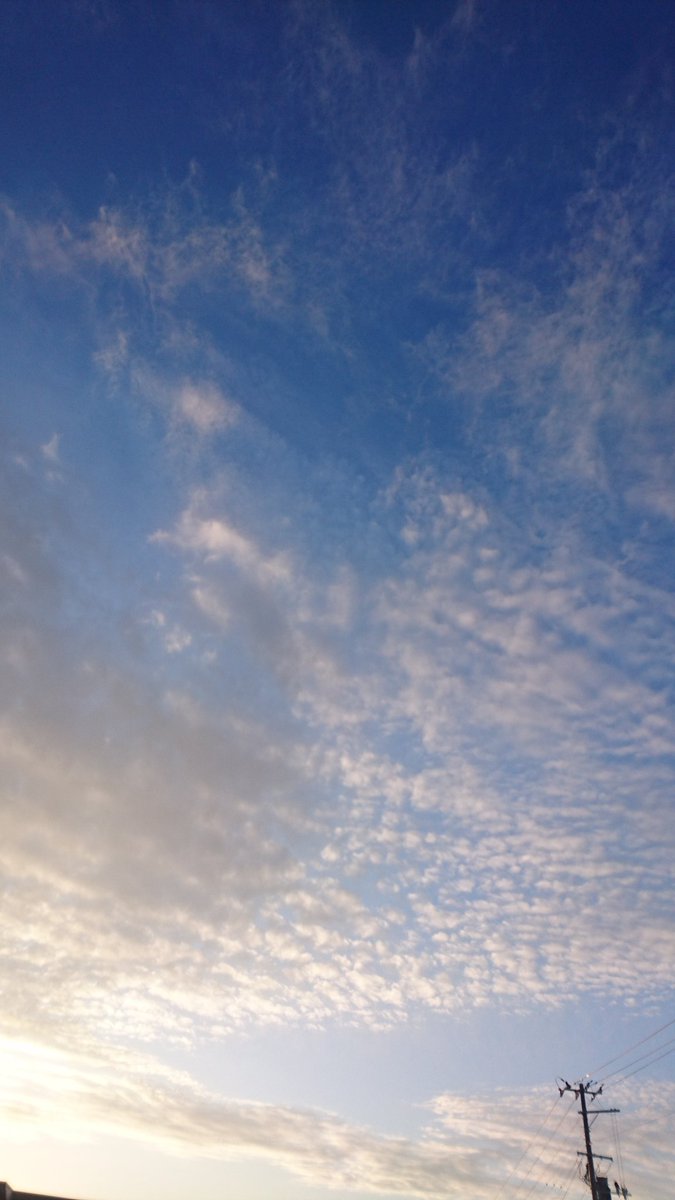 Miwa89989591's tweet photo. 今日の山形は、とてもとても暖かい一日でした。2月半ばとは思えない。
#イマソラ https://t.co/hpNlr49Wny
