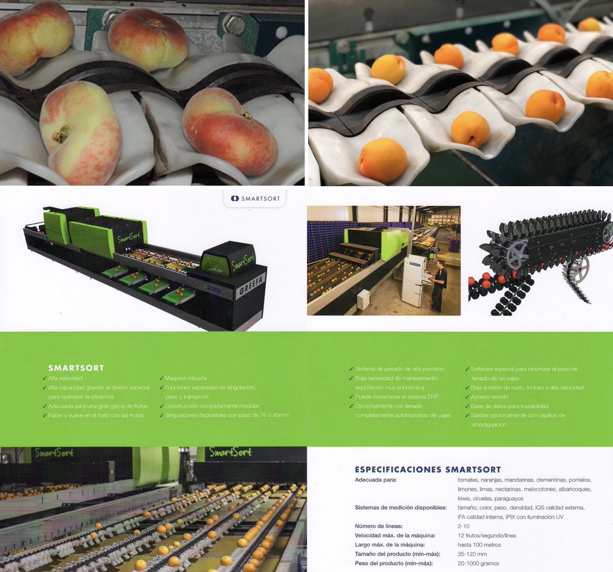 Ciagri_Greefa's tweet image. ¿ Necesita trabajar fruta de hueso ? 
Greefa SmartSort, alta producción, eliminamos frutos dobles. Primera calidad con fácil manejo y poco mantenimiento. 

#greefa #smartsort #qualitygreefa #frutadehueso #cítricos #tomate #ciagri