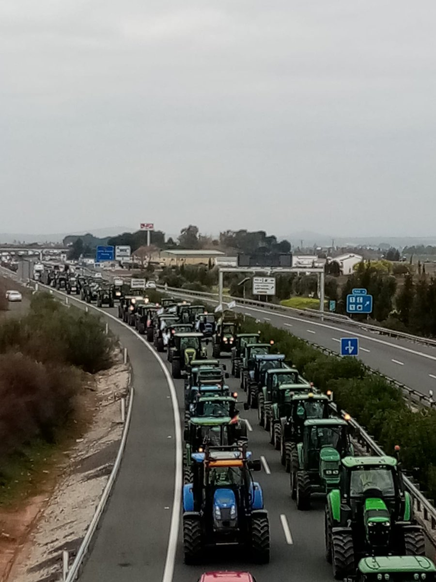 La_COAG's tweet photo. Buenos días, en el día de los enamorados los agricultores y ganaderos de Comunidad Valenciana, Asturias, Córdoba y los olivareros de la sierra de Sevilla y Cádiz, salen a la calle para pedir un plan de choque urgente ante la crisis del campo #AgricultoresAlLimite https://t.co/Qsklhvay4D