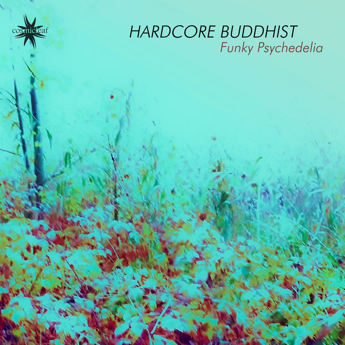 cosmicleaflabel's tweet photo. https://t.co/Ofc3i8RtWx
https://t.co/WCsBMKEMDi
https://t.co/nNfBAOiT0L
Hardcore Buddhist after his album debut in Cosmicleaf, returns with his new themre "Funky Psychedelia".
#psybreaks #psychedelicchill #psychill #psy #cosmicleaf #psyfunk https://t.co/FapN2gD2YD