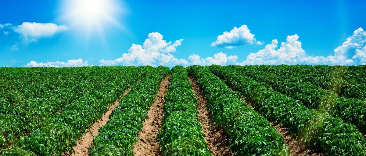 StirlingBiz's tweet photo. Well established Manufacturer of Niche Agricultural &amp; Engineering Products for sale – (Ref 1255): trading for over 185 years. Further details at:

https://t.co/2dVer4Txm2 https://t.co/qImWlvXgmU