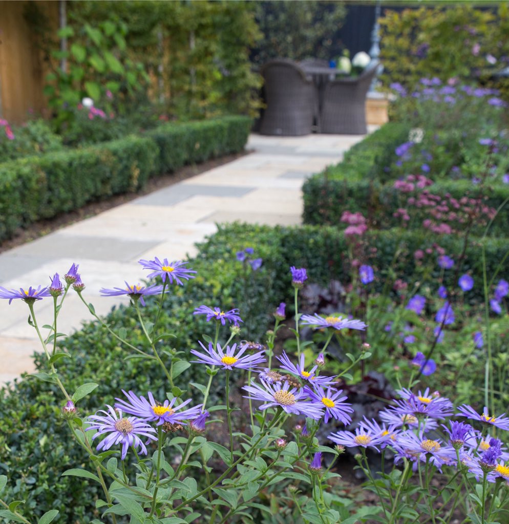 Martyn Wilson tweet media