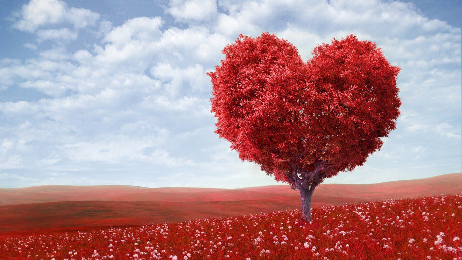 MilarFCGranada's tweet photo. Feliz día de San Valentin!!!! Vive este día tan especial con nosotros!!!! 💚💚💚

#SabemosDeTi.
#Milar #ConsejosMilar
#benidorm #altea #alfazdelpi #calpe #villajoyosa #polop #lanucia #callosadensarria #aniversario #49años #49aniversario #adelantate #desde1971 #sanvalentin https://t.co/y0tQ8srTWV