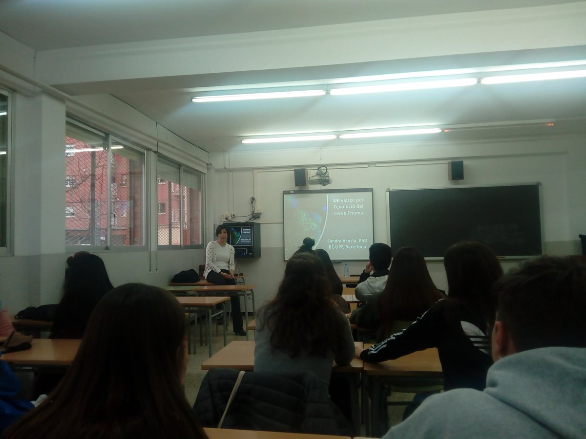 Pessics's tweet photo. Seguim amb el projecte #recerconnecta avui a l'institut @IRodoreda la doctora Sandra Acosta @IBE_Barcelona parla del cervell i la seva evolució #Agaur @IBE_Barcelona https://t.co/LOFqxk2yUb