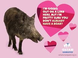 OxfamSkipton's tweet photo. Here's hoping the words 'Happy Valentine's Day' are reverberating around the Skipton area today. So, let's invite you to share the mood with the wider world. Whether you sent or received yourself, there's always #Oxfram 'Unwrapped' to mark the occasion with a post-Valentine gift. https://t.co/mCeHxbJ8OH