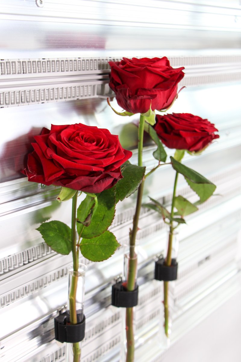 LuetzeSolutions's tweet photo. Happy Valentine's Day
#AirSTREAMLove #Valentinesday #Valentinstag https://t.co/jh9EsE7vU0