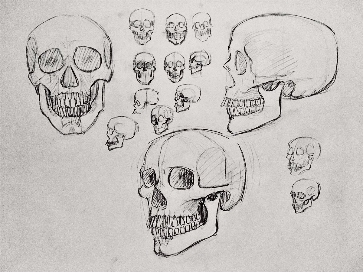 Hmm *draws 20 skulls of varying accuracy* 