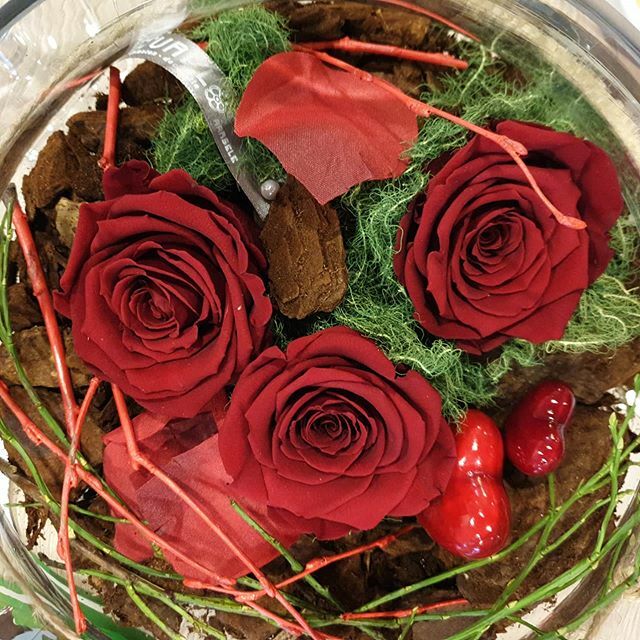 FrituurDeKouter's tweet photo. #valentijnsdag #mylove #❤❤❤ https://t.co/X3kV0HnPIM https://t.co/IMey7tJ4zv
