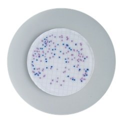 KataFarkas211's tweet photo. #Coliforms are red,
E.coli are blue,
And neither represents the abundance or quantity of bacterial and #Viralpathogens in polluted water,
So stop using them as an index for wasterwater contamination in the aquatic environment.
There, it almost rhymes.
Happy #ValentinesDay https://t.co/bnzLBEerio