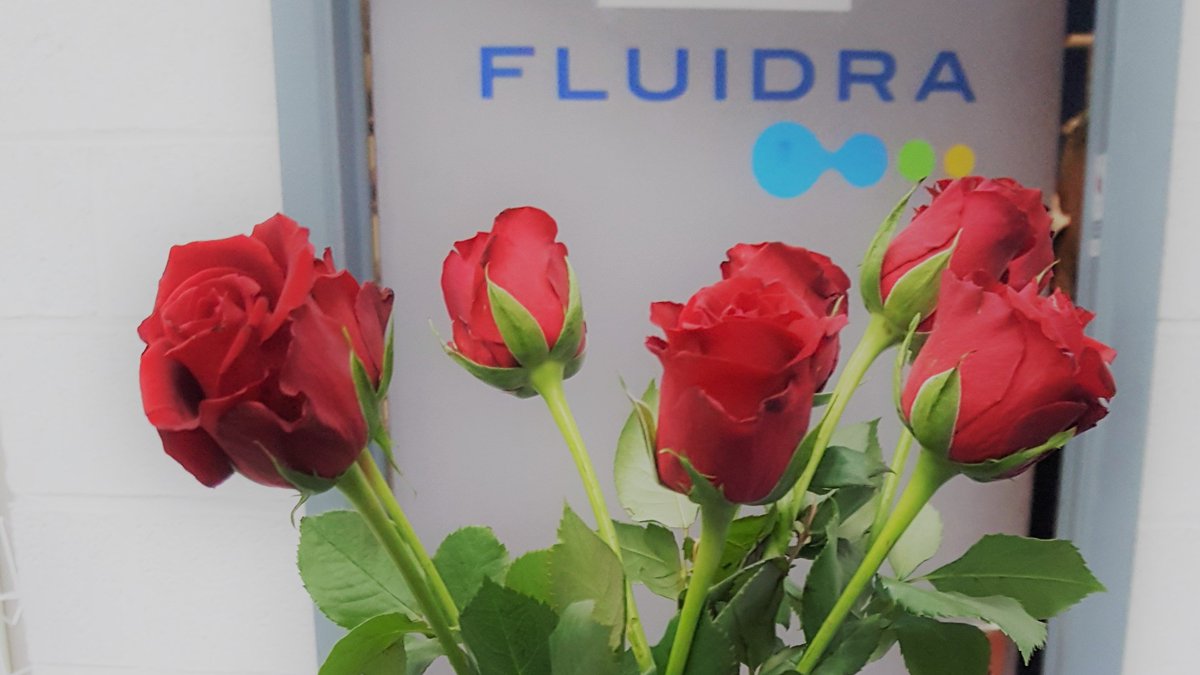 Bonne fête aux Amoureux ❤️

Faites un petit saut dans votre agence FLUIDRA aujourd'hui pour tenter de gagner une magnifique rose pour l'élu(e) de votre cœur...

Offre réservée aux professionnels de la piscine !
