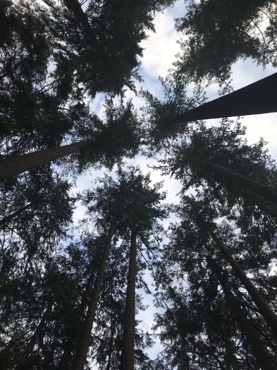 The sky is the limit <a href="/IapcoAm/">IAPCO Annual Meeting</a>!
#IAPCO2020