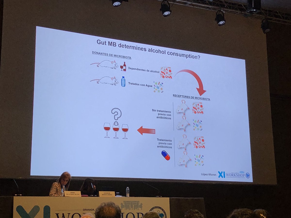 SEMiPYP's tweet photo. Comunicación🗣 Relación entre la microbiota intestinal y consumo de alcohol 🍷 
👨🏽‍⚕️ López-Moreno @UAM_Madrid #semipyp2020 https://t.co/5FPC0Rk01Q