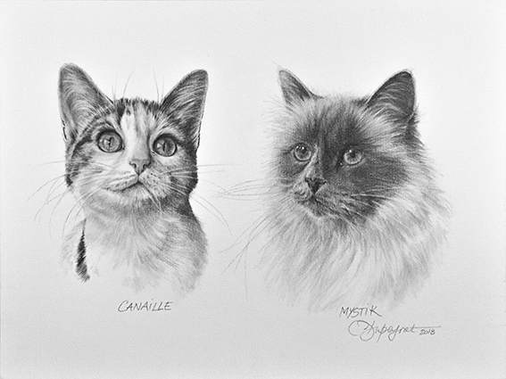 Pour un cadeau d'amour à l'épreuve du temps, je réalise pour vous le portrait "sur mesure" de vos animaux de coeur. Et pour fêter tous les amoureux, j'offre une remise spéciale de -20% jusqu'à dimanche 16 février minuit pour tout achat sur mon site
corinnedupeyrat.com