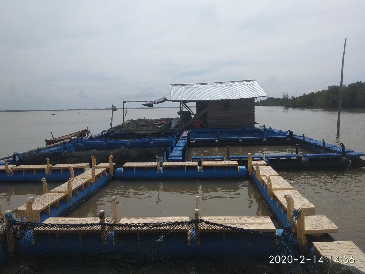 Muhd. Hafiz tweet media