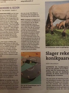 MuseumhavenLwd tweet media