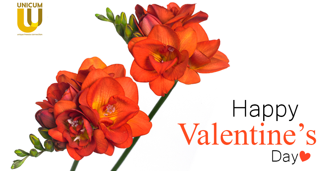 UnicumFreesianl's tweet photo. Happy Valentine's Day! https://t.co/zrTDCAM6md