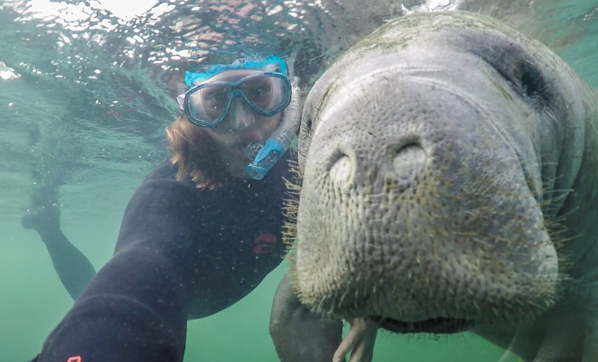 WanderlustersUK's tweet photo. From swimming with wild manatees in Crystal River, FL to white water rafting in Austria - here's some travel itinerary inspo to inspire your next adventurous escape #wanderlust #LPpathfinders #activeescape https://t.co/ORdWLJ8NTp https://t.co/mjg2A3KSWD