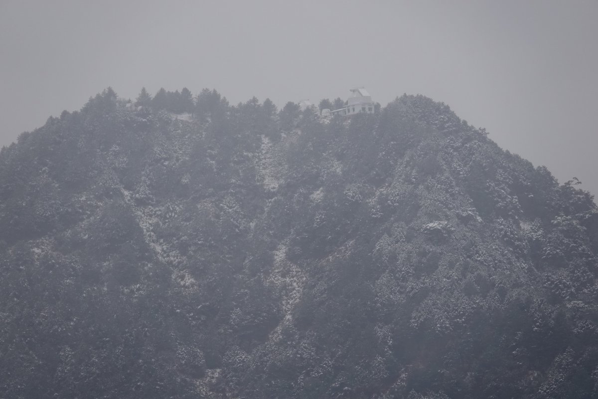taiwanbirdguide's tweet photo. This winter is very cold, #Tataka #塔塔加 region of #YushanNP has snowed in late Jan.

#TaiwanBirdGuide #Taiwan #bird #birding #snow https://t.co/WaQmXtuC8M