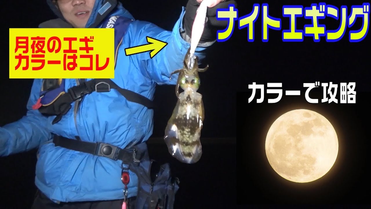 竹本保幸 冬イカエギング攻略 月夜おすすめカラーで冬アオリイカゲット 価値あるいっぱいを釣る為の一手 T Co 6xbqnzsy4s Youtubeより 釣り好きタケちゃんネル エギング 攻略 イカ釣り 冬イカ ナイトエギング おすすめ 竹本保幸 冬イカエギング攻略 月夜おすすめカラーで冬アオリイカゲット 価値あるいっぱいを釣る為の一手 T Co 6xbqnzsy4s Youtubeより 釣り好きタケちゃんネル エギング 攻略 イカ釣り 冬イカ ナイトエギング おすすめ