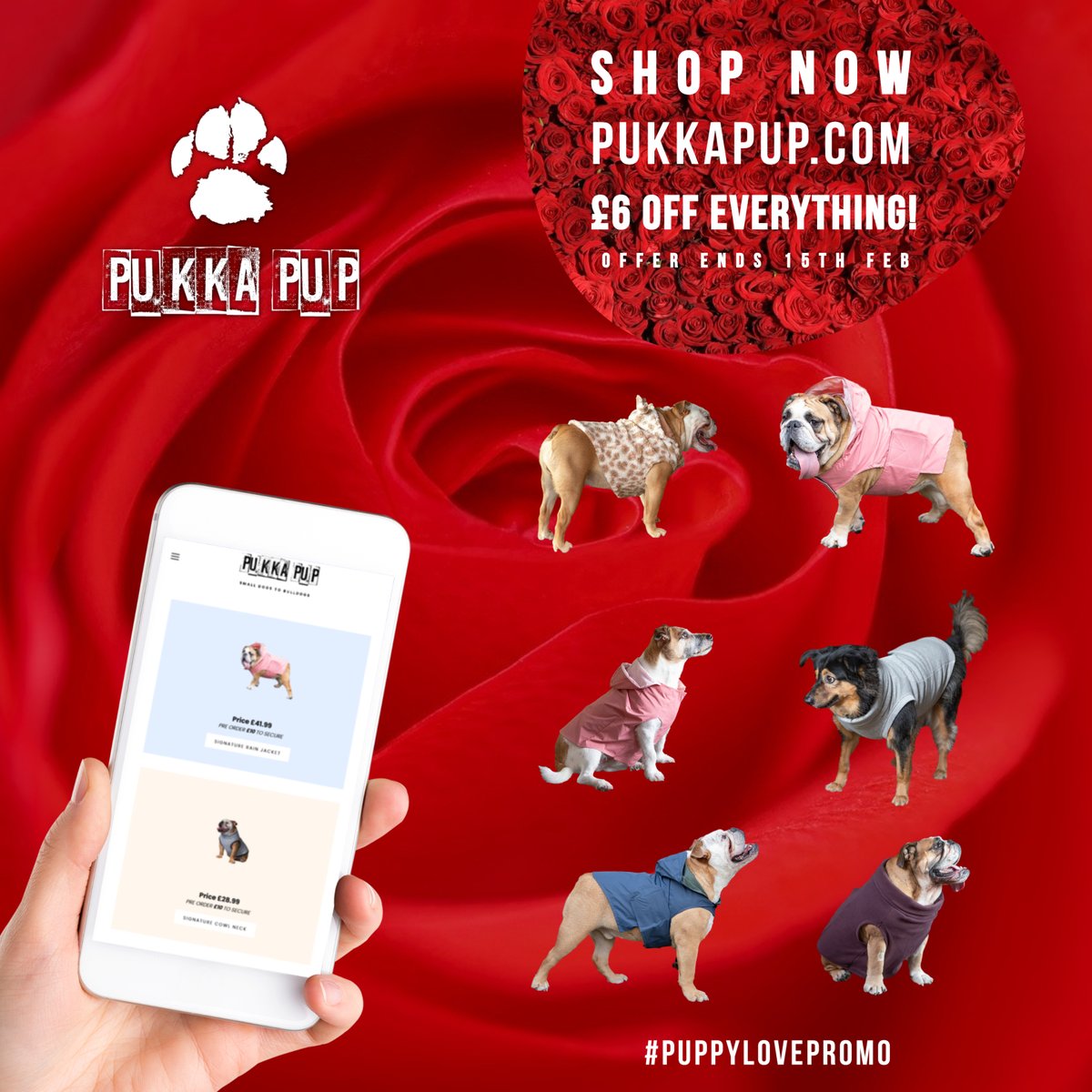 Pukka Pup (@pukkapup) / Posts / X