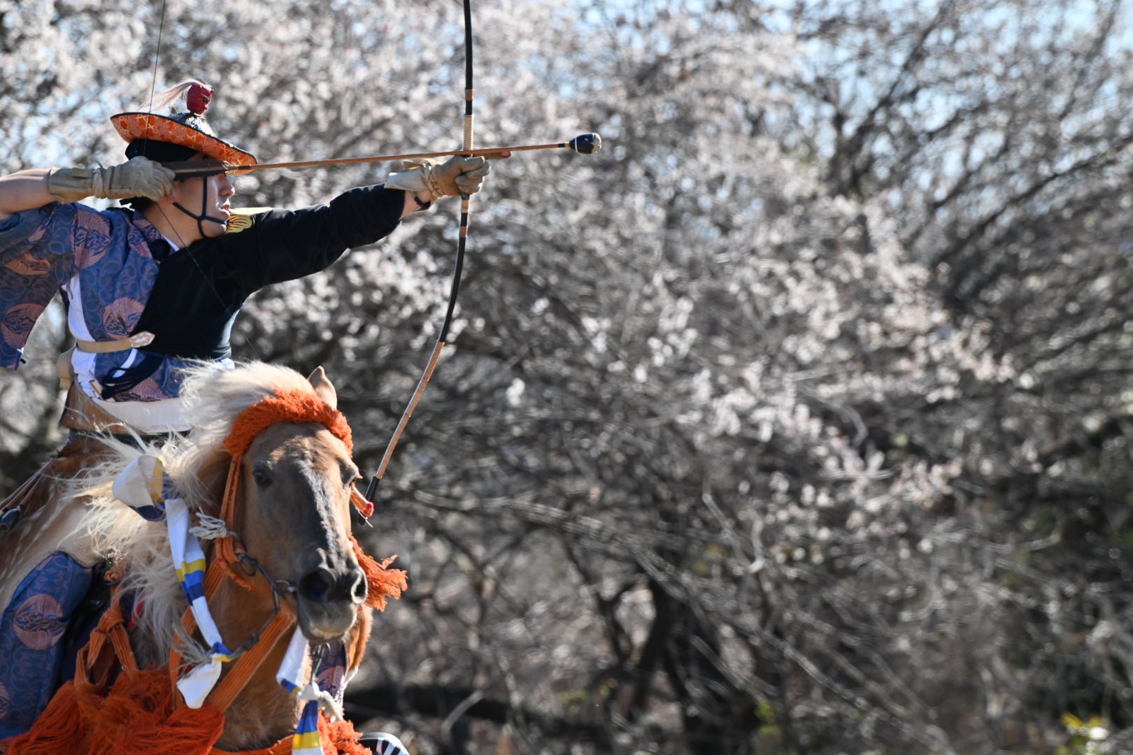 טוויטר Mako123 בטוויטר 女性射手がいらっしゃるのが武田流 凛とした雰囲気でとてもかっこいいのです 武田流流鏑馬 曽我梅林 T Co Ya0i2ksoeb