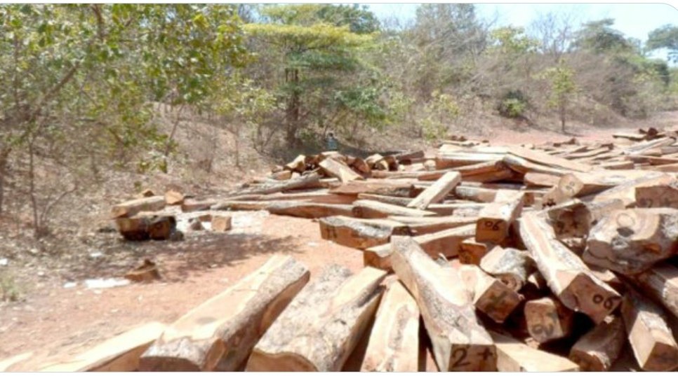 TabiJoda1's tweet photo. It is our responsibility to practice responsible lumbering and end all forms of illegal logging - it is one of the vicious activities that cause the poverty of communities. #OneBillionTreesforAfrica seeks to replenish our deforested lands and curb increasing desertification. https://t.co/z5azvJ7itr