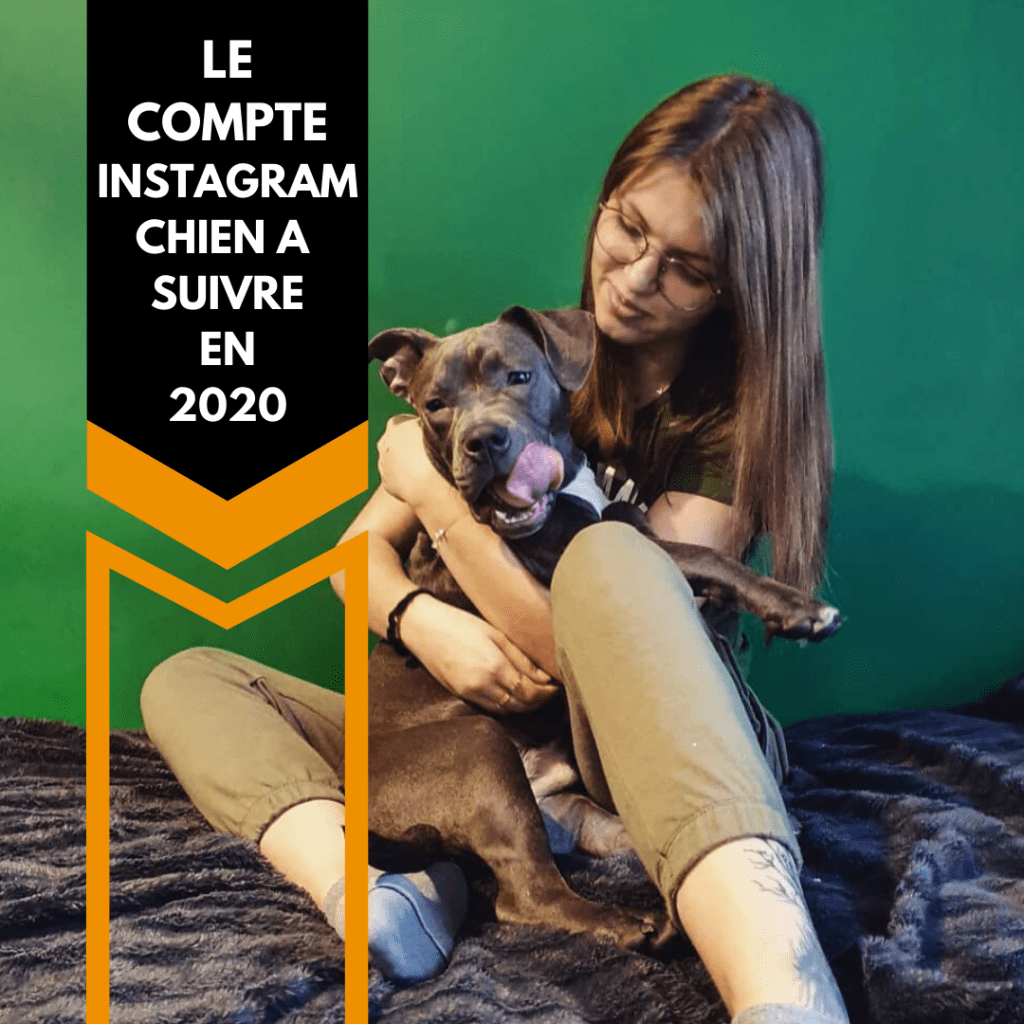 StoreUnuma's tweet image. Une dose canine quotidenne, le compte Instagram canin à suivre en 2020 unuma.fr/2020/02/14/une…