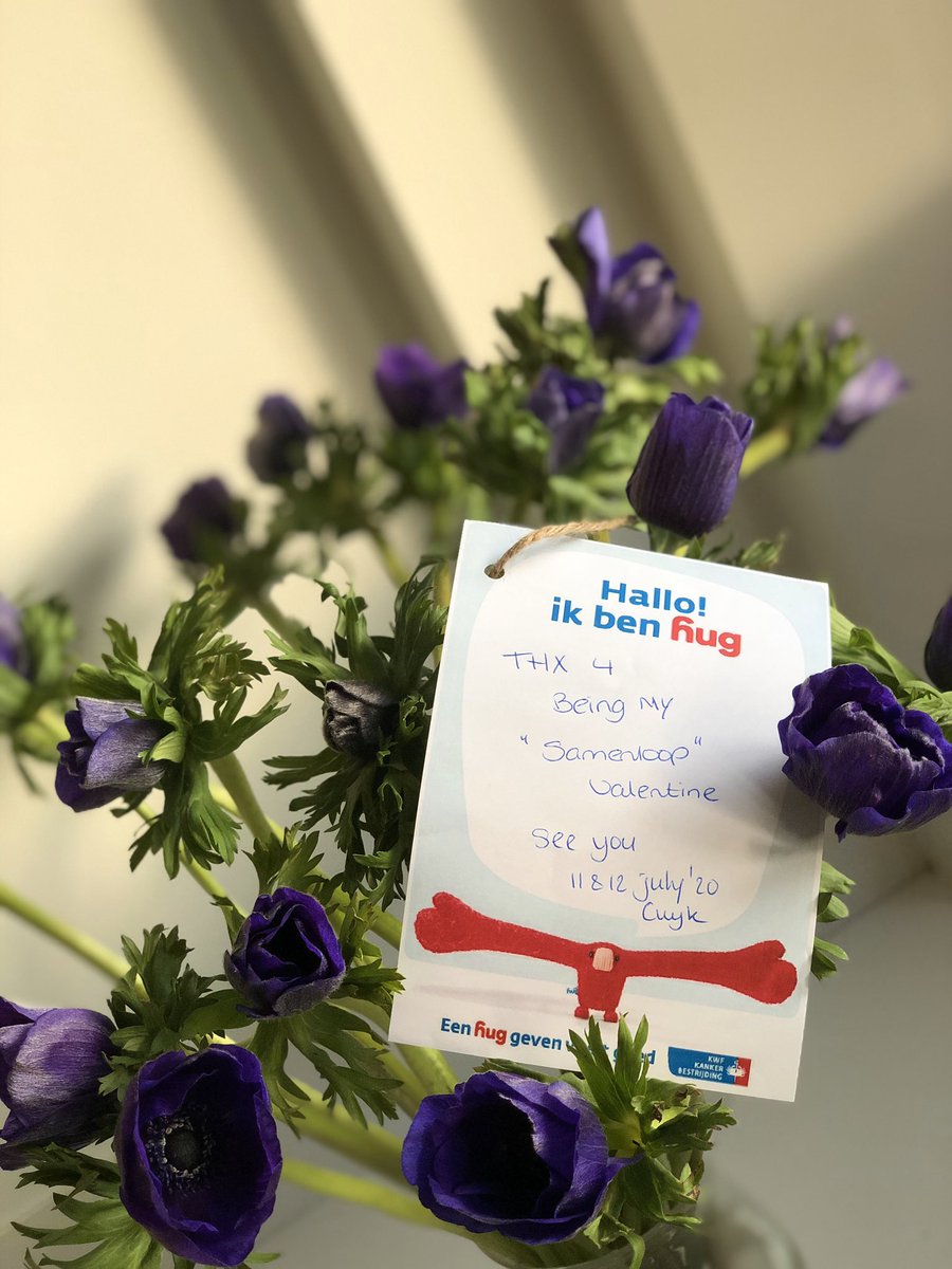 SamenloopC's tweet image. Happy Valentijn Samenlopers #samenloopvoorhoop #cuijk #slvhcuijk20