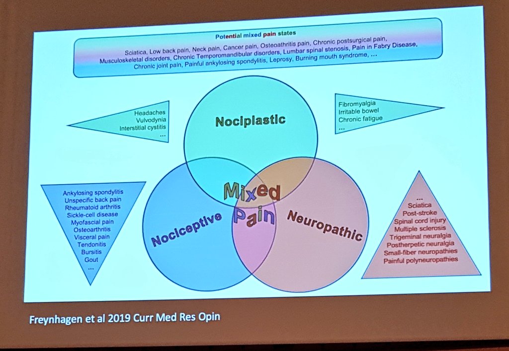 CLopezCubas's tweet photo. Dificultad de categorizar los mecanismos del dolor.
Muchas condiciones (95%) son mixtas: ciática, dolor.lumbar o cervical, dolor en artrosis...
Lorimer Moseley en 
#VCongresoFisioterapiayDolor
@Sefid_edupain @FisiosAragon https://t.co/37Qksr00HH